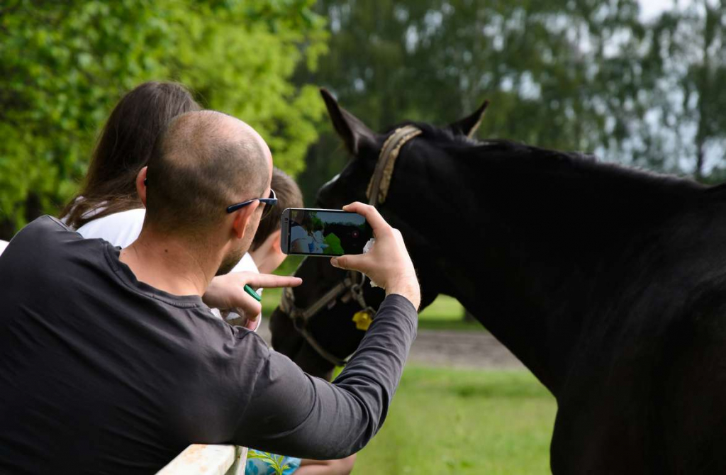Man taking an image of a beautiful black horse